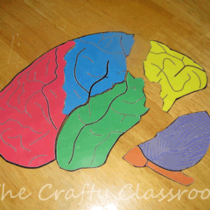 brain puzzle activities for kids and preschoolers