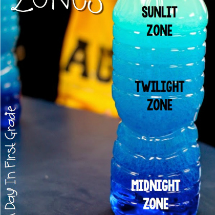 ocean zones discovery bottle. sensory bottle
