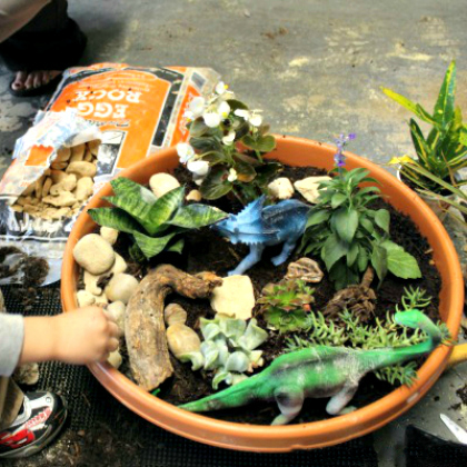  Build a Miniature Dinosaur Habitat with the kids!