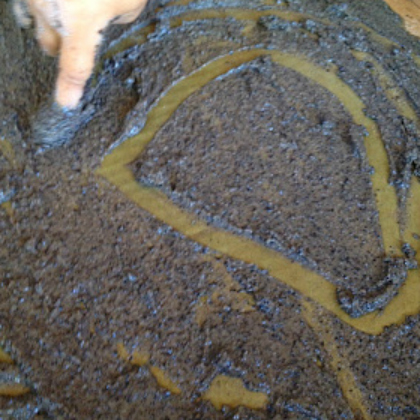 Use Dirt as a Writing Surface to Learn Letters with the kids!