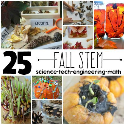 Have fun with these Fall-stem Science ideas with your kids today! 