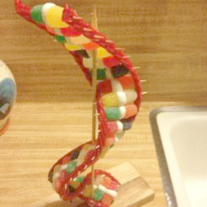 Candy DNA Strands Model Craft for the kids!