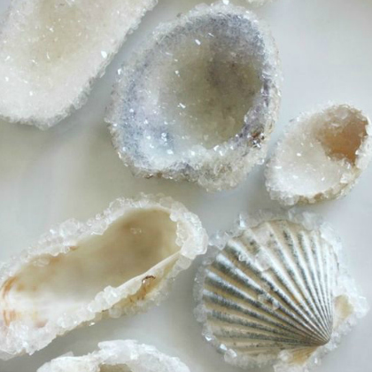 crystal seashells, Summery Seashell Crafts For Kids