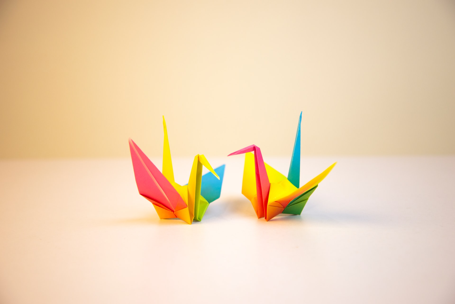 12 Easy Origami Animals for Beginners