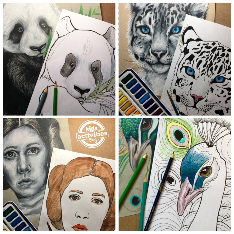 collage of 4 cool drawings from shading and coloring tutorials at Kids Activities Blog - Panda drawing, cheetah drawing, Princess Lei drawing and peacock drawing